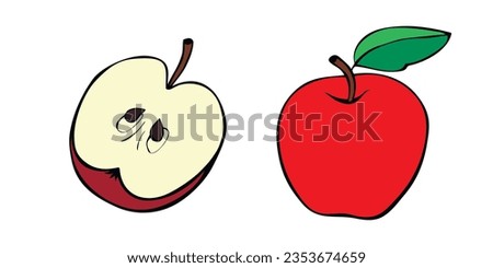 Vector color drawing of whole and cut in half apple in doodle flat style. Hand-drawn isolated fruit. Clip art, symbol of harvest, summer, autumn, garden, healthy food, school snack