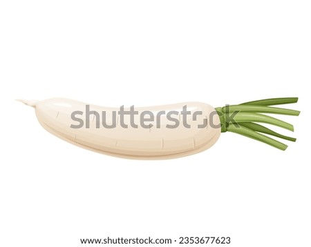 Daikon radish with green stem. Horseradish rhizome plant. Royalty-Free Stock Photo #2353677623