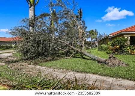 Hurricane Idalia Storm Damage Debris Royalty-Free Stock Photo #2353682389