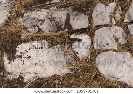 A close up photo of the natural surface of earth-embedded light gray rocks with soil and dry grass visible between them.