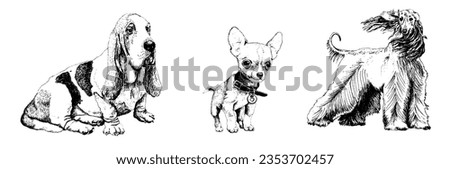 Different Dog Breed Sketch Graphic Vector Illustration Set. Canine Purebred Domestic Pet and Anima