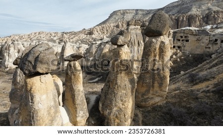 Fantastical natural rock formations in Pasabagi valley, Capaddocia