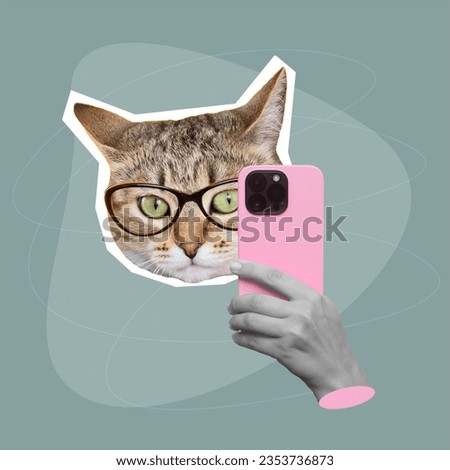Cat's head in glasses holding mobile phone with camera taking a picture or surfing Internet isolated on green background. 3d trendy collage in magazine style. Modern creative design. Contemporary art