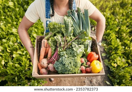 Person, hands and vegetables box for agriculture, sustainability and farming, product growth and agro business. farmer with green harvest and gardening for commerce, food and groceries basket above Royalty-Free Stock Photo #2353782373