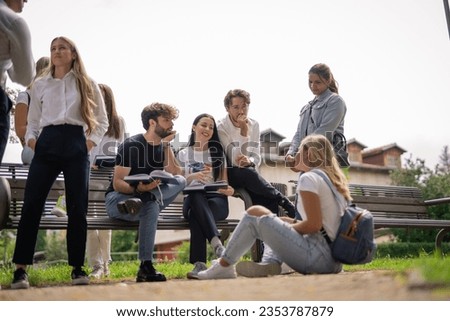 College students studying together, discussing subject before exam sitting in the park.