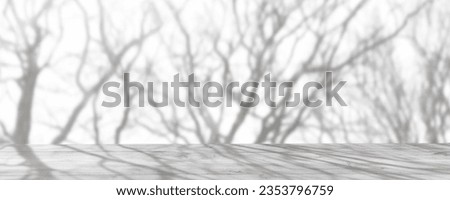 shadow from bare trees on white sunny background with wooden table for presentation space, abstract overlay concept for fall season holidays Royalty-Free Stock Photo #2353796759