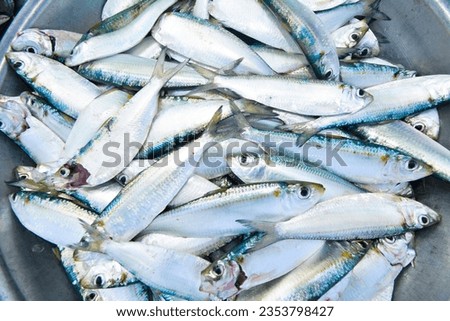 Fresh herring is caught by locals and sold by the roadside in Tam Thanh, Tam Ky, Quang Nam Royalty-Free Stock Photo #2353798427