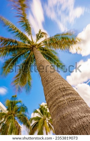 Low angle view of a palm tree on blue sky with motion blur