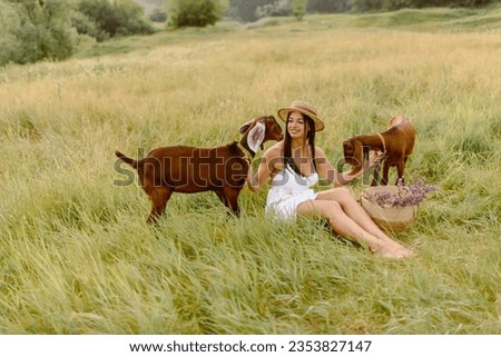 A young woman is playing with Nubian brown goats. A girl and a goat are in a meadow in summer. Funny picture of a beautiful young girl farmer with goats. Pets. Happy woman with an animal.