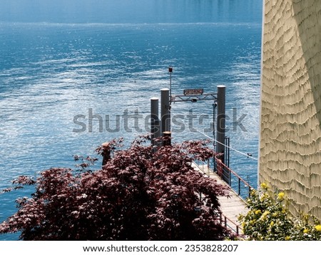 Porto Ronco, Switzerland: characteristic village on the shore of Lake Maggiore