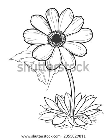 Line art flower coloring page for kids and adults. Hawaii Flat Vector Illustration page