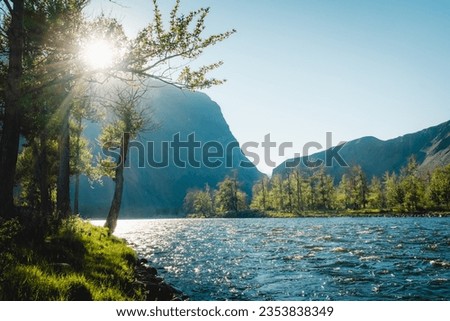 Bank of the Chulyshman River at sunset. Summer landscape in the Altai mountains. Mountain valley Chulyshman. Russia Siberia
