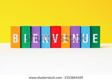 Bienvenue - Welcome on french, word concept on building blocks, text, letters