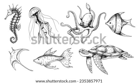 Undersea Animals set. Vector hand drawn illustration of seahorse and jellyfish on isolated background in outline style. Drawing of sea turtle and octopus. Engraving of underwater fish. Black inks.