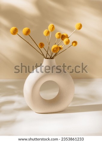 Bohemian ceramic vase with dry Craspedia flowers and beautiful sunlight shadows, scandinavian interior design. Stylish modern vase with bouquet on table, aesthetic home decoration, minimal style