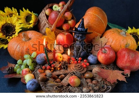 wiccan altar. wheel of the year, witch black cat toy, fruits, candles, pumpkins on table, dark background. witchcraft ritual for autumn holiday - Mabon, Halloween. esoteric, occultism concept Royalty-Free Stock Photo #2353861823