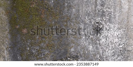photo of the surface of a building's walls that are dirty and mossy without a layer of paint or protection.