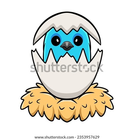 Cute spangled cotinga bird cartoon inside from egg