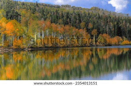 The fall colors of Aspen trees are reflected in the calm waters of Kolob Reservoir near Zion National Park, Utah Royalty-Free Stock Photo #2354013151