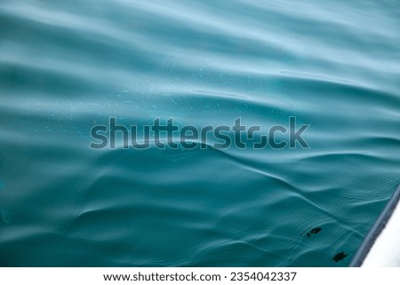 
Exciting a group of whale sharks swim beneath the blue sea foaming through the waves.
The sea is clear and calm and you can see schools of fish underwater.
blue sea background. Royalty-Free Stock Photo #2354042337