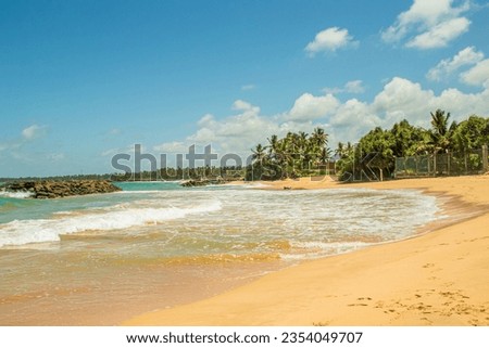 Tropical beach with palm trees and blue sky, Sri Lanka
