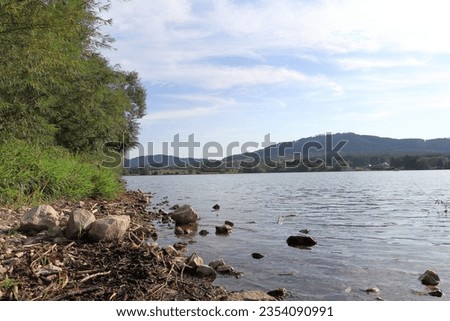 Stones on the shore of the lake. Trees on the shore of the lake, small waves on the water wash the shore. Summer, August. The Olesna Dam in the Czech Republic.