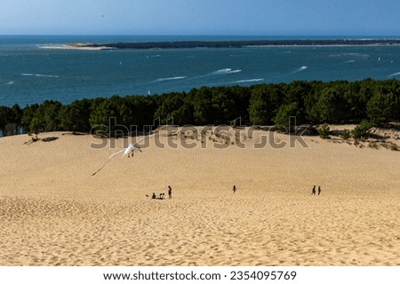 View from Dune du Pilat over pine trees and the Atlantic Ocean, and fly bird