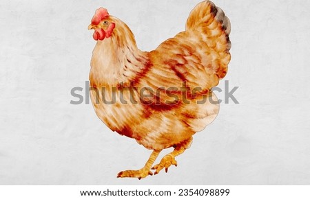 Chicken: A small domesticated bird known for its white or dark meat, commonly consumed worldwide.