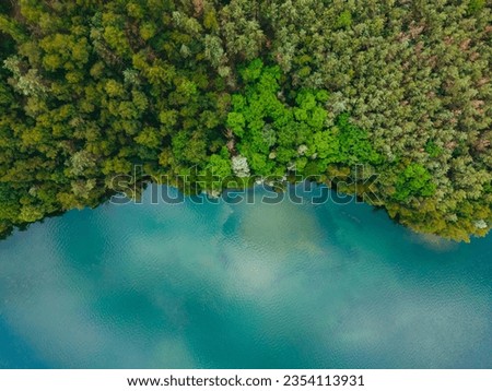 Aerial drone top down view of lake among forest in summer day. 