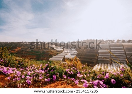 The suburbs of Da Lat, the scenery of Da Lat, the greenhouses growing vegetables of Da Lat farmers under the morning dew Royalty-Free Stock Photo #2354117285