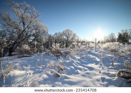 Winter landscape at cold sunny day. Winter Christmas background.