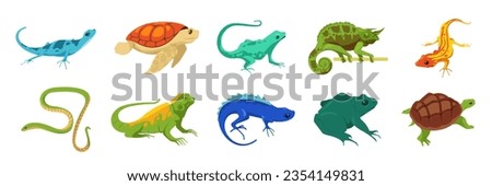 Cartoon reptiles. Exotic wild and domestic animals, crocodile iguana turtle alligator gecko snake frog salamander. Vector isolated set of reptile exotic cartoon illustration