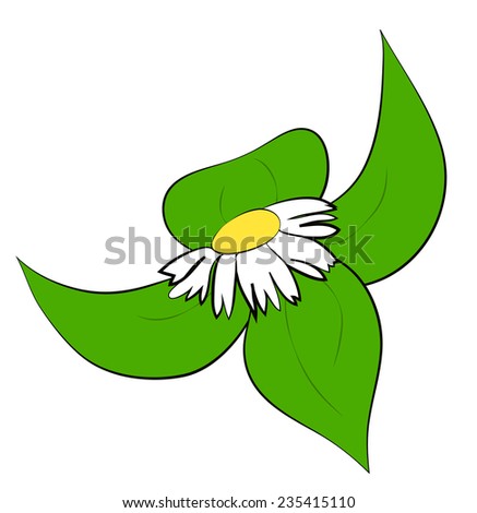 Cartoon daisy with large green leaves, vector illustration