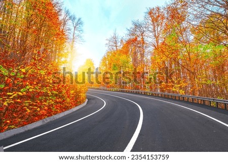 Road scenery in beautiful forest with colorful trees in autumn season. Stunning highway landscape in autumn forest in beautiful mountains. Nature landscape on beautiful road in colorful fall.