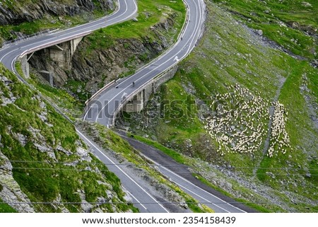 The carpathian mountains with the winding transfaragasan road Royalty-Free Stock Photo #2354158439