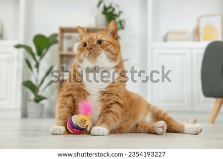 Cute ginger cat playing sisal toy at home Royalty-Free Stock Photo #2354193227