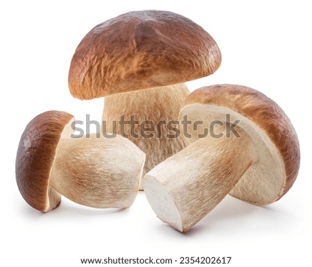Porcini mushrooms on white background. File contains clipping path. Royalty-Free Stock Photo #2354202617