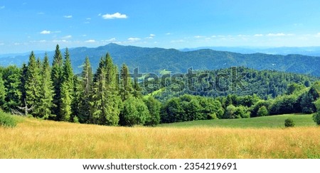  Summer lanscape in  mountains. View of the Luban range in the Gorce Mountains, Poland. Royalty-Free Stock Photo #2354219691