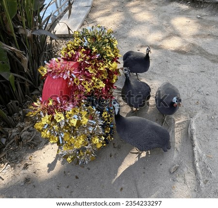 a photography of a group of birds standing around a flower pot, hens are walking around a bunch of flowers on the ground.