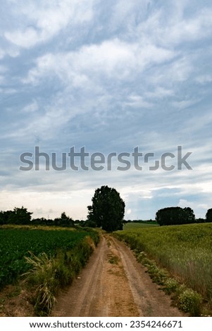 Witness the captivating contrast of nature's elements in this striking image. A green agriculture field of young corn stands resiliently in springtime, while under a dark and threatening stormy sky Royalty-Free Stock Photo #2354246671