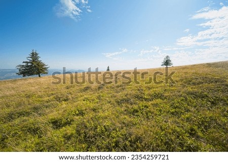 Pictures from the Belchen its a 1414m high mountain in the Black Forest. 