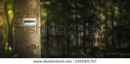 Trail sign on a tree in the forest. Long horizontal photo with space for text.