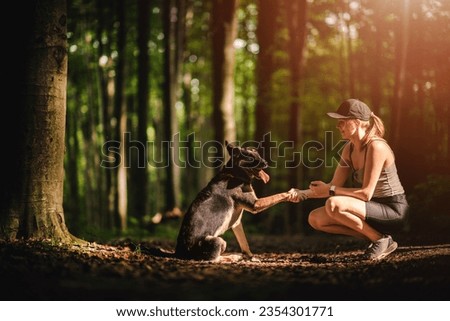 Dog friend with his owner. Woman with a dog in the forest. A dog giving a paw to its young owner. Happy dog. Royalty-Free Stock Photo #2354301771