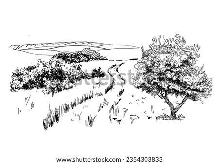 Green grass field on small hills. Meadow, alkali, lye, grassland, pommel, lea, pasturage, farm. Rural scenery landscape panorama of countryside pastures. Vector sketch illustration
 Royalty-Free Stock Photo #2354303833