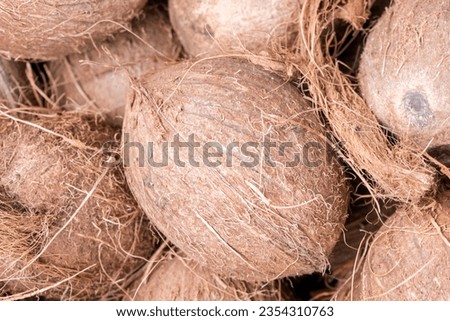 A stock photo of a close-up view of a large quantity of brown coconuts in a bin. (selected focus)