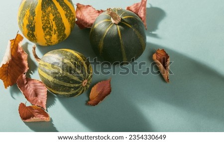 Autumn seasonal holidays background decoration from dry leaves and pumpkin on green background. Preparing for Thanksgiving holiday decoration