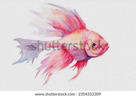 Original painted fish in watercolor. Pink fish on a white background. Pterophyllum scalare. Aquarium fish