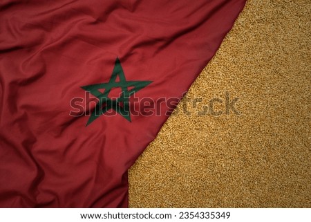 wheat grain on the waving colorful big national flag of morocco .macro shot.