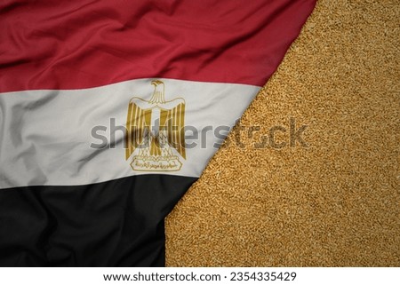 wheat grain on the waving colorful big national flag of egypt .macro shot.