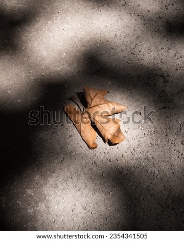 A single dry fallen leaf on the ground at a city's park with autumn tones and shadows of tree. Close-up shot using light and shadows technique